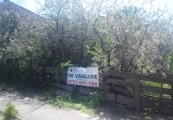 Teren casa Macea Arad